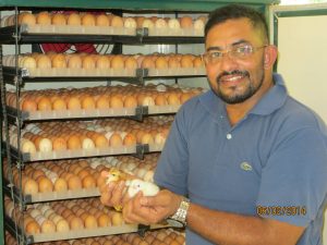 VTF Poultry Farming 2014