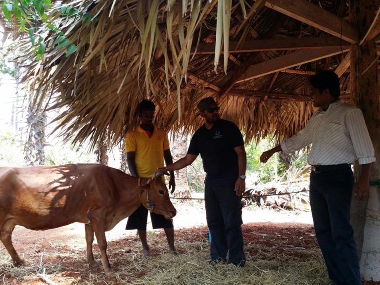 தெல்லிப்பளையில் இயற்கை வேளாண் மற்றும் மாட்டு பண்ணை வளர்ச்சிக்கு வழங்கப்பட்ட நிதி உதவி