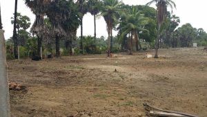 பண்ணை மேம்பாட்டுதிட்டம்