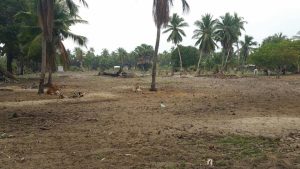 பண்ணை மேம்பாட்டுதிட்டம்