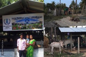 பூநகரி பண்ணை