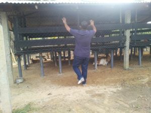 பூநகரி பண்ணை