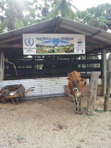 பூநகரி பண்ணை