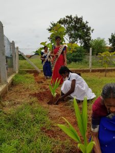 “கார்த்திகையில் மரம் நடுவோம்” திட்டம் – நல்லிணக்கபுரம் மரக்கன்று நடும் நிகழ்வு