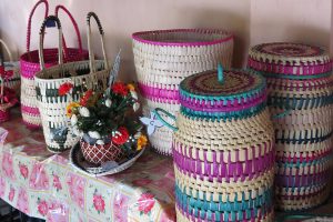 பெண் தலைமைதுவ குடும்பங்களின் வாழ்வாதார மேம்பாடு