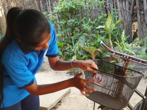 துவிச்சக்கர வண்டி வழங்கல்